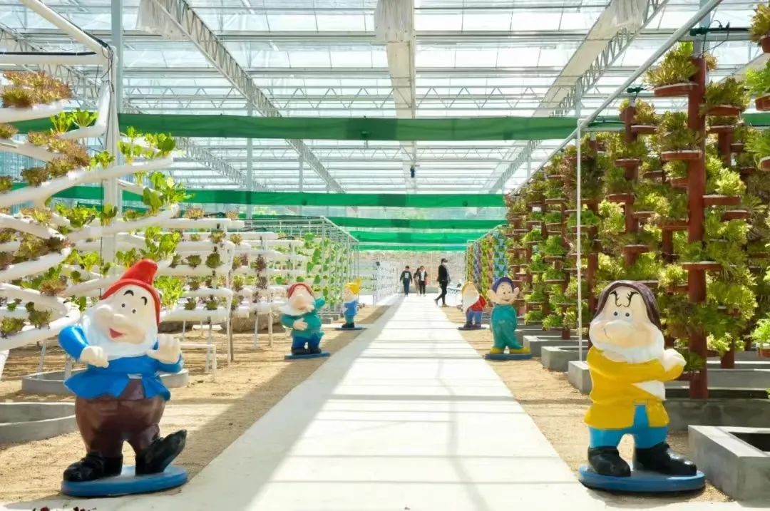 beat365在线唯一官网与钢城区棋山国家森林公园携手合作助力乡村振兴